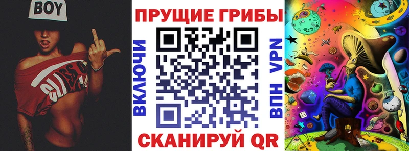 Псилоцибиновые грибы Psilocybe  Купить  Томмот 